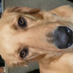 Meet your Posher, Gwen